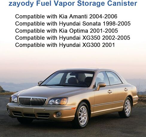 Vapor Canister Compatible with Kia Amanti 2004-2006 Optima Hyundai Sonata 1998-2005 XG300 2001 XG350 Fuel Vapor Charcoal Canister Replacement for 911-812 ‎4B1387 CP1393 CP3258 3142038100 in Saudi Arabia