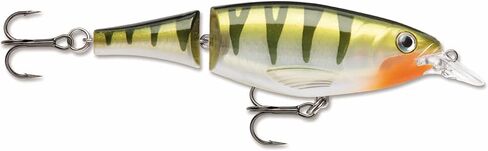 Rapala X-Rap 08 Fishing lure, 3.125-Inch, Hot Mustard Muddler in Saudi Arabia