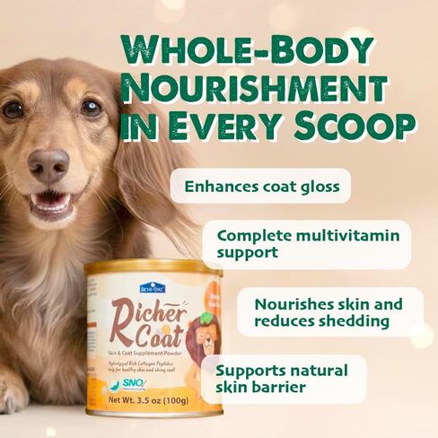 Blue Bay Richer Coat، حزمة تجريبية مدتها 7 أيام، 2 جرام × 7 عبوات، مسحوق مكمل للبشرة والمعطف، معجزة لمدة 4 أسابيع لمعطف أكثر ثراءً in Kuwait