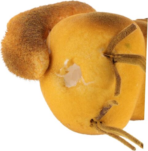 Unique Car Roof Decoration Antenna Topper Car Ornament Squirrel Design in Saudi Arabia