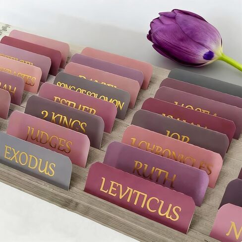 Vorscrin-Laminated Bible Tabs for Women and Men, Gold Foil Lettering Design, Reposition and Large Print Stickers, Bible Study Supplies, 90 Chapters Labels for Easy Navigation(Dusty Rose) in Saudi Arabia