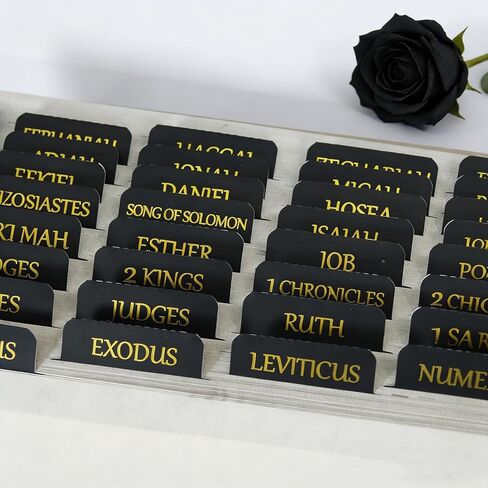 Vorscrin-Laminated Bible Tabs for Women and Men, Gold Foil Lettering Design, Reposition and Large Print Stickers, Bible Study Supplies, 90 Chapters Labels for Easy Navigation(Dusty Rose) in Saudi Arabia
