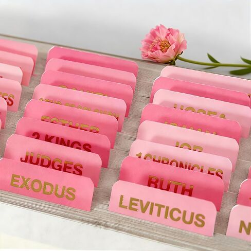 Vorscrin-Laminated Bible Tabs for Women and Men, Gold Foil Lettering Design, Reposition and Large Print Stickers, Bible Study Supplies, 90 Chapters Labels for Easy Navigation(Dusty Rose) in Saudi Arabia
