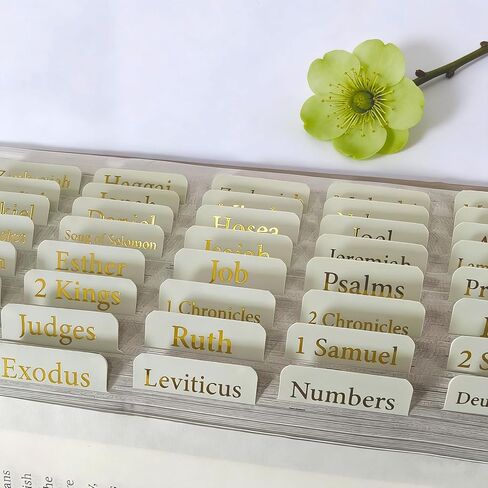 Vorscrin-Laminated Bible Tabs for Women and Men, Gold Foil Lettering Design, Reposition and Large Print Stickers, Bible Study Supplies, 90 Chapters Labels for Easy Navigation(Dusty Rose) in Saudi Arabia