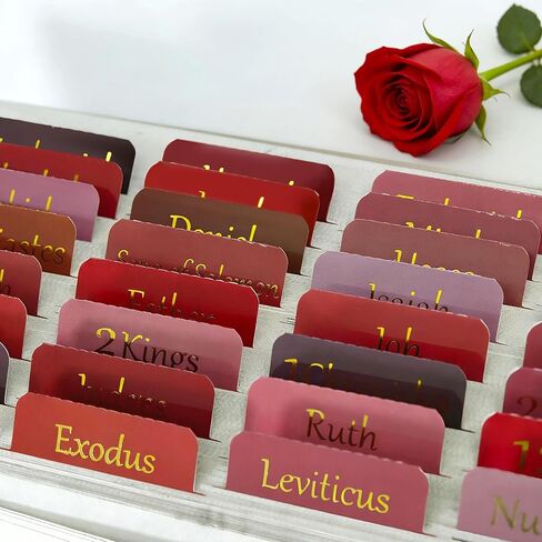 Vorscrin-Laminated Bible Tabs for Women and Men, Gold Foil Lettering Design, Reposition and Large Print Stickers, Bible Study Supplies, 90 Chapters Labels for Easy Navigation(Dusty Rose) in Saudi Arabia