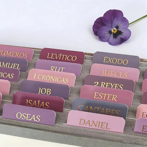 Vorscrin-Laminated Bible Tabs for Women and Men, Gold Foil Lettering Design, Reposition and Large Print Stickers, Bible Study Supplies, 90 Chapters Labels for Easy Navigation(Dusty Rose) in Saudi Arabia