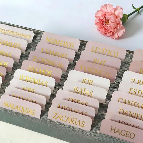 Vorscrin-Laminated Bible Tabs for Women and Men, Gold Foil Lettering Design, Reposition and Large Print Stickers, Bible Study Supplies, 90 Chapters Labels for Easy Navigation(Dusty Rose) in Saudi Arabia