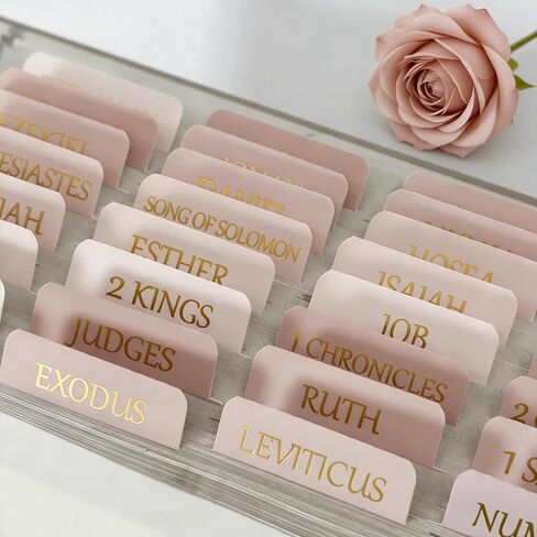 Vorscrin-Laminated Bible Tabs for Women and Men, Gold Foil Lettering Design, Reposition and Large Print Stickers, Bible Study Supplies, 90 Chapters Labels for Easy Navigation(Dusty Rose) in Saudi Arabia