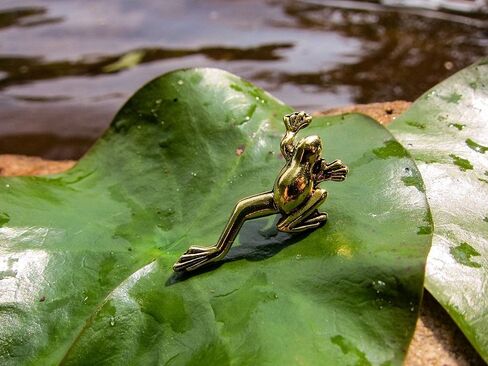 Jim Clift Design Frog Gold Lapel Pin in Saudi Arabia