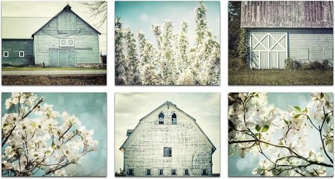 LISA RUSSO FINE ART - مجموعة Shabby Chic Farmhouse مكونة من 6 مطبوعات صغيرة مقاس 5x7 بوصة - غير مؤطرة - حظيرة زرقاء مائية باستيل، زهور، صور زهور - معرض حائط كوخ ريفي in Saudi Arabia
