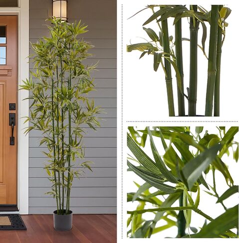 شجرة خيزران صناعية - نبات صناعي بوعاء 72 انش مع جذوع سوداء واوراق ذات ملمس طبيعي - ديكور داخلي واقعي للمنزل او المكتب من بيورغاردن in Kuwait