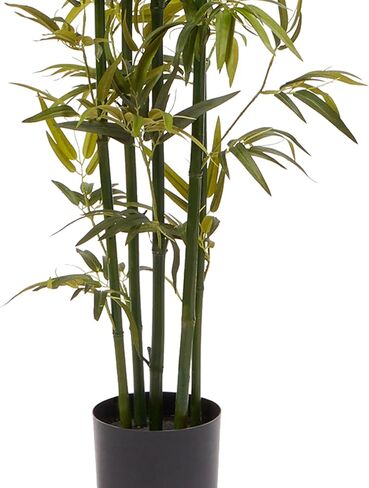 شجرة خيزران صناعية - نبات صناعي بوعاء 72 انش مع جذوع سوداء واوراق ذات ملمس طبيعي - ديكور داخلي واقعي للمنزل او المكتب من بيورغاردن in Kuwait