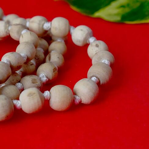 SATVIK Tulsi Jap Mala l 100% سبحة صلاة الريحان المقدس الأصلية (9-10 مللي متر) in Saudi Arabia