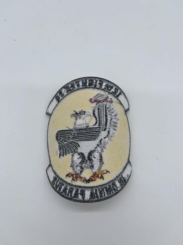 السرب المقاتل الثاني عشر في Omnia Paratus Patch – قم بالخياطة in Saudi Arabia