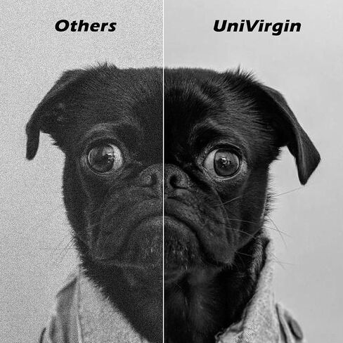 Compatible E310dw Drum Unit Replacement for Dell E310 E514 E515 E310dw Drum Unit for use in Dell E310dw E514dw E515dw E515dn Printer (Black,1-Pack) in Kuwait