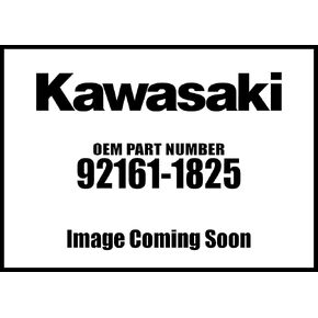 كاواساكي 2016-2020 Mule Teryx4 Damper Gas Spring 92161-1825 New OEM in Kuwait