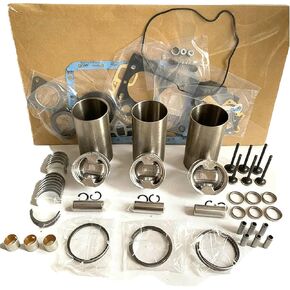 3TNV82 Engine Overhaul Rebuild Kit with Valve Kit for Yanmar Engine 3TNV82 3TNV82A Excavator VIO35 VIO30 VIO27 for Komatsu Engine 3D82A STD Overhaul Engine Rebuild Aftermarket Parts in Kuwait