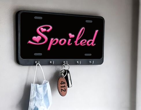 لوحة زخرفية شخصية من Spoited.Lady، غطاء لوحة ترخيص لطيف ومبتكر من معدن الألومنيوم المزخرف، مناسب للرجال، 6 × 12 بوصة (4 فتحات) in Kuwait