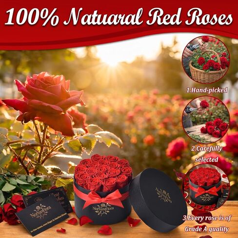 17 قطعة من هدايا الورود الحمراء المحفوظة إلى الأبد - زهور محفوظة في صندوق للنساء، زهور إلى الأبد للتسليم، صندوق هدايا عيد ميلاد الزهور لها، الذكرى السنوية، عيد الأم in Kuwait