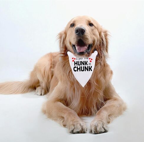 قطعة واحدة من JXGZSO I Put The Hunk in Chunk Dog Bandana Boy Dog Bandana فوق طوق الياقة (قطعة كبيرة في قطعة D) in Kuwait