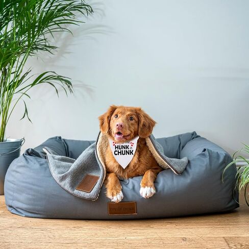 قطعة واحدة من JXGZSO I Put The Hunk in Chunk Dog Bandana Boy Dog Bandana فوق طوق الياقة (قطعة كبيرة في قطعة D) in Kuwait