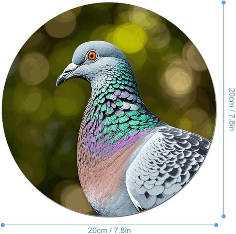 Grey Pigeon Round Mouse Mat 7.8 X 7.8 Inch Premium-Textured Mouse Pad with Non-Slip Rubber Base Funny Desk Mousepad for Office and Home Use in Saudi Arabia