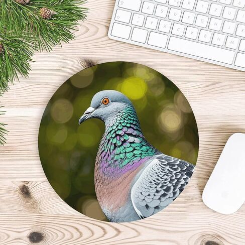Grey Pigeon Round Mouse Mat 7.8 X 7.8 Inch Premium-Textured Mouse Pad with Non-Slip Rubber Base Funny Desk Mousepad for Office and Home Use in Saudi Arabia