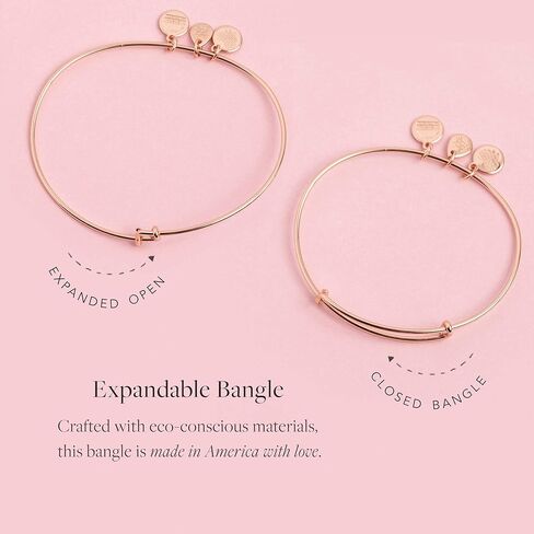 Alex and Ani Collaborations Harry Potter Duo Charms سوار قابل للتوسيع للنساء، لمسة نهائية لامعة، من 2 إلى 3.5 بوصة in Kuwait