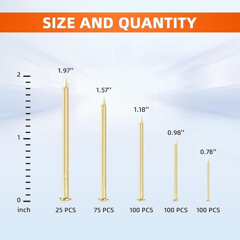 5 Sizes Hardware Nails Assortment Kit, Flat Nails for Picture Wall Hanging, Wood Nails, Common Nails Hanging Nails, Gold, 400 PCS in Saudi Arabia