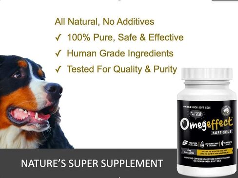 Omega 3 for Dogs & Cats. 1,545mg Omega-3 per Teaspoon (32oz). 100% Pure Fish Oil with EPA & DHA for Joints, Skin & Coat, Itching, Heart & Immune Health. Stronger Than Salmon Oil. Unflavored Omegease. in Saudi Arabia