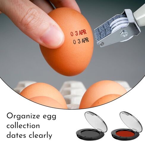 مجموعة طوابع تاريخ البيض (4 قطع طوابع بيض صغيرة + تاريخ بيض + وسادات حبر سريعة الجفاف باللون الأسود/الأحمر) - قلم تحديد بيض بنص شفاف، ختم بيض للبيض الطازج، طوابع تاريخ بيض للدجاج in Kuwait