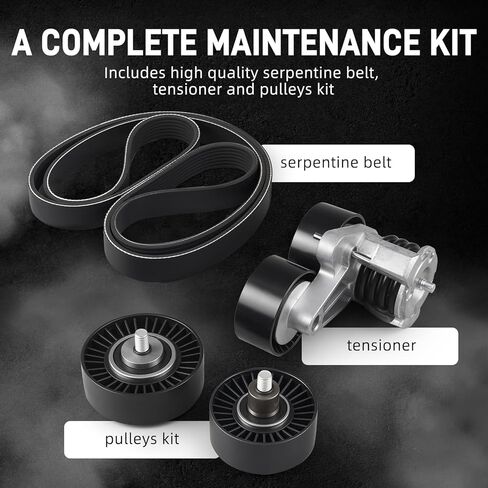 Bevinsee Black Drive Belt Service Kit in Saudi Arabia