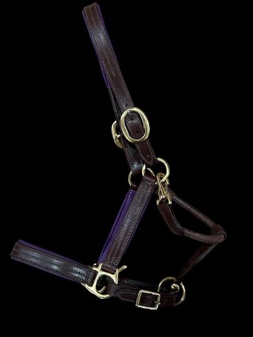 Leaders Padded Leather Halter for Horses with Customized Engraved Name Plate Option Halter for Horse in Saudi Arabia
