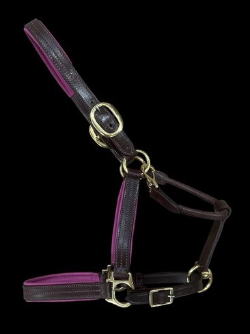 Leaders Padded Leather Halter for Horses with Customized Engraved Name Plate Option Halter for Horse in Saudi Arabia