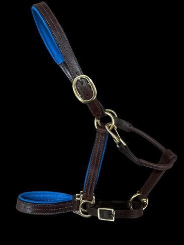 Leaders Padded Leather Halter for Horses with Customized Engraved Name Plate Option Halter for Horse in Saudi Arabia