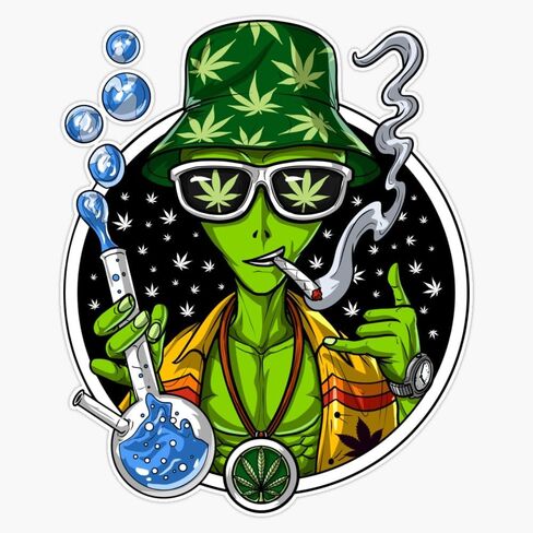 ملصق فينيل مغناطيسي من MAGNET Weed Alien Stoner ملصق مغناطيسي 5 بوصات in Kuwait
