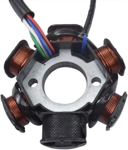 Left Side Engine Motor Case Casing Cover with 6 Coil Magneto Stator for 50cc 70cc 90cc 110cc 125cc Dirt Bikes ATV Go Kart Pit Bike Quad 4 Wheeler Dune Buggy Taotao Coolster SSR in Saudi Arabia