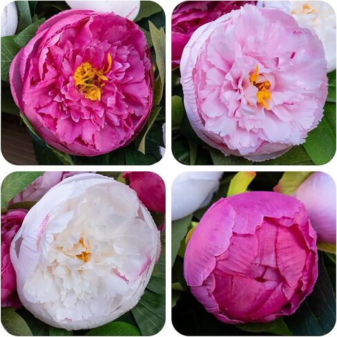Spring Wreath for Front Door- 24 Inch Summer Wreath Artificial Pink & White Peony Flowers with Black and White Striped Bow, Spring and Summer Door Wreath with Hanging Ribbon for Indoor Outdoor Decor in Saudi Arabia