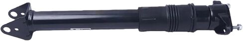 Rear Shock Absorbers Assembly Without ADS Compatible For Benz W166 W164 06-11 ML/GLE 250 350 ML300 A1663200030 in Saudi Arabia