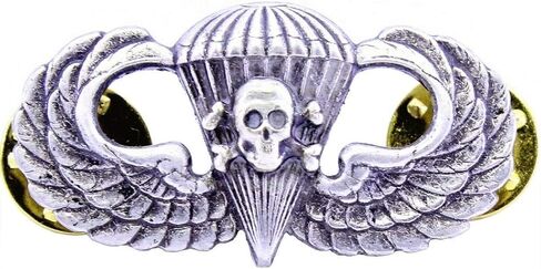 US ARMY Airborne Parachutist Paratrooper Skull Jump Wings Death from ABOVE Insignia Pin Oxidized CUSTOM Made Badge in Saudi Arabia