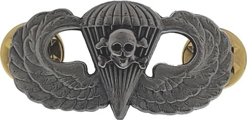 US ARMY Airborne Parachutist Paratrooper Skull Jump Wings Death from ABOVE Insignia Pin Oxidized CUSTOM Made Badge in Saudi Arabia