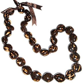 نمر هاواي براون / تان كوكوي الجوز التخرج لوا لي قلادة in Kuwait