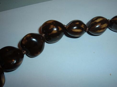 نمر هاواي براون / تان كوكوي الجوز التخرج لوا لي قلادة in Kuwait