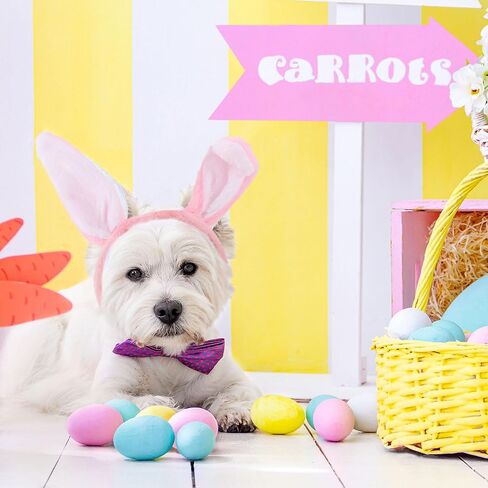 16 Pieces Easter Bunny Ear Headband Soft Cute Plush Rabbit Ears Headband for Kids Adults Easter Cosplay Party Favors (Pink, White) in Saudi Arabia