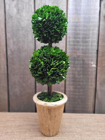 خشب البقس المحفوظ 20 بوصة توبياري مزدوج الكرات in Kuwait