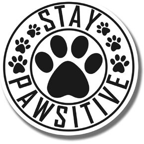 Stay Pawsitive Magnet - مغناطيس ملهم للثلاجة أو الخزانة - مغناطيس طباعة مخالب - هدية لمحبي الكلاب - مغناطيس لطيف على شكل حيوان - تصميم ديكور متين للمنزل أو المكتب AAMT0567 in Kuwait