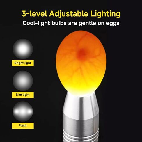 جهاز اختبار شموع البيض، ضوء شموع LED عالي الكثافة لجميع أنواع البيض - مصباح لاسلكي قابل لإعادة الشحن لمراقبة تطور الأجنة في الدجاج والسمان وبيض البط - ملحق الحاضنة in Kuwait
