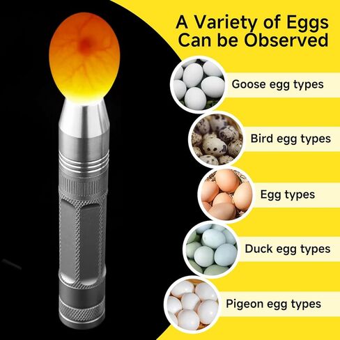 جهاز اختبار شموع البيض، ضوء شموع LED عالي الكثافة لجميع أنواع البيض - مصباح لاسلكي قابل لإعادة الشحن لمراقبة تطور الأجنة في الدجاج والسمان وبيض البط - ملحق الحاضنة in Kuwait