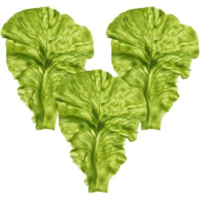 Angoily Green Leaf Lettuce, 3PCS Simulation Lettuce Simulated Plastic Cabbage Leaves Models Fake Food for Home Kitchen Food Photography and Restaurant Display Feast Decoration in Kuwait