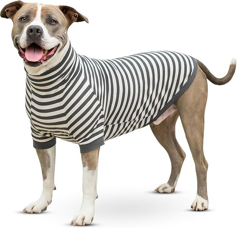 Tooth & Honey Big Dog Stripe Shirt Pullover Full Belly Coverage (Large) in Kuwait